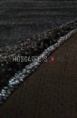 Ковер SHAGGY PLATINUM T600 BLACK прямоугольник